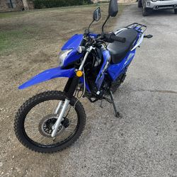 2024 RPS Hawk 250 (check description)