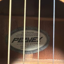 Peavey Electric Acoustic 