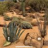 West Phoenix
