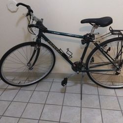 Via Carisma Univega Bike