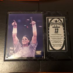 TOM   BRADY  SUPER BOWL XXXVI  MVP AWARD