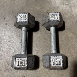 (2) 15lbs Weights 