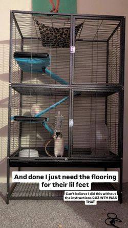 Rat cage