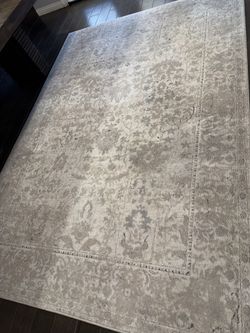 7x10 large area rug $50