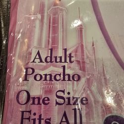 Disney Poncho
