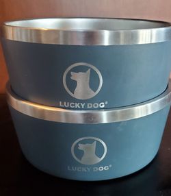 Dog bowls  2
