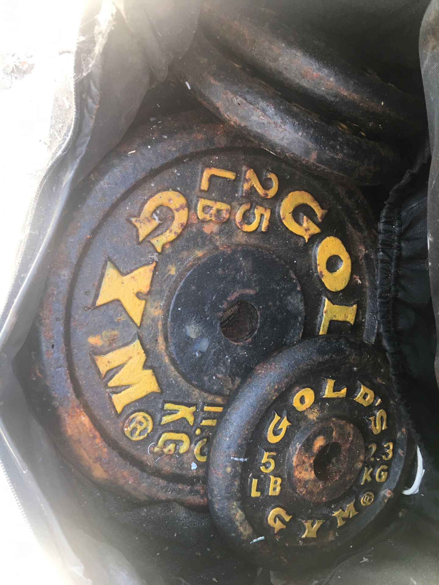 Golds gym weights