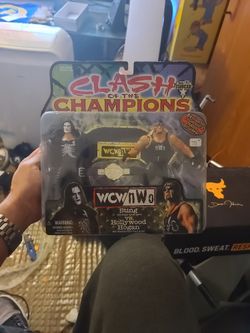 Wcw Wwe Sting Hulk Hogan