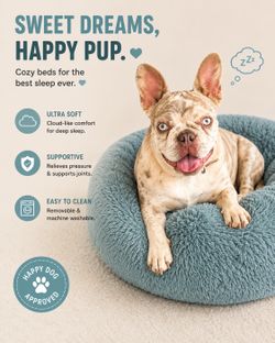 Frenchies products