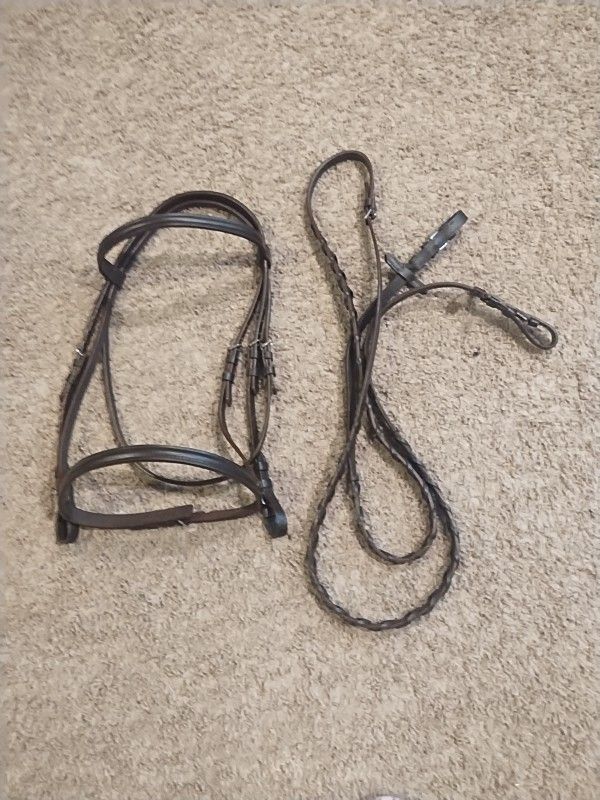 New Chocolate Brown Basic Bridle (Amazon) - Horse Sized (F/S)