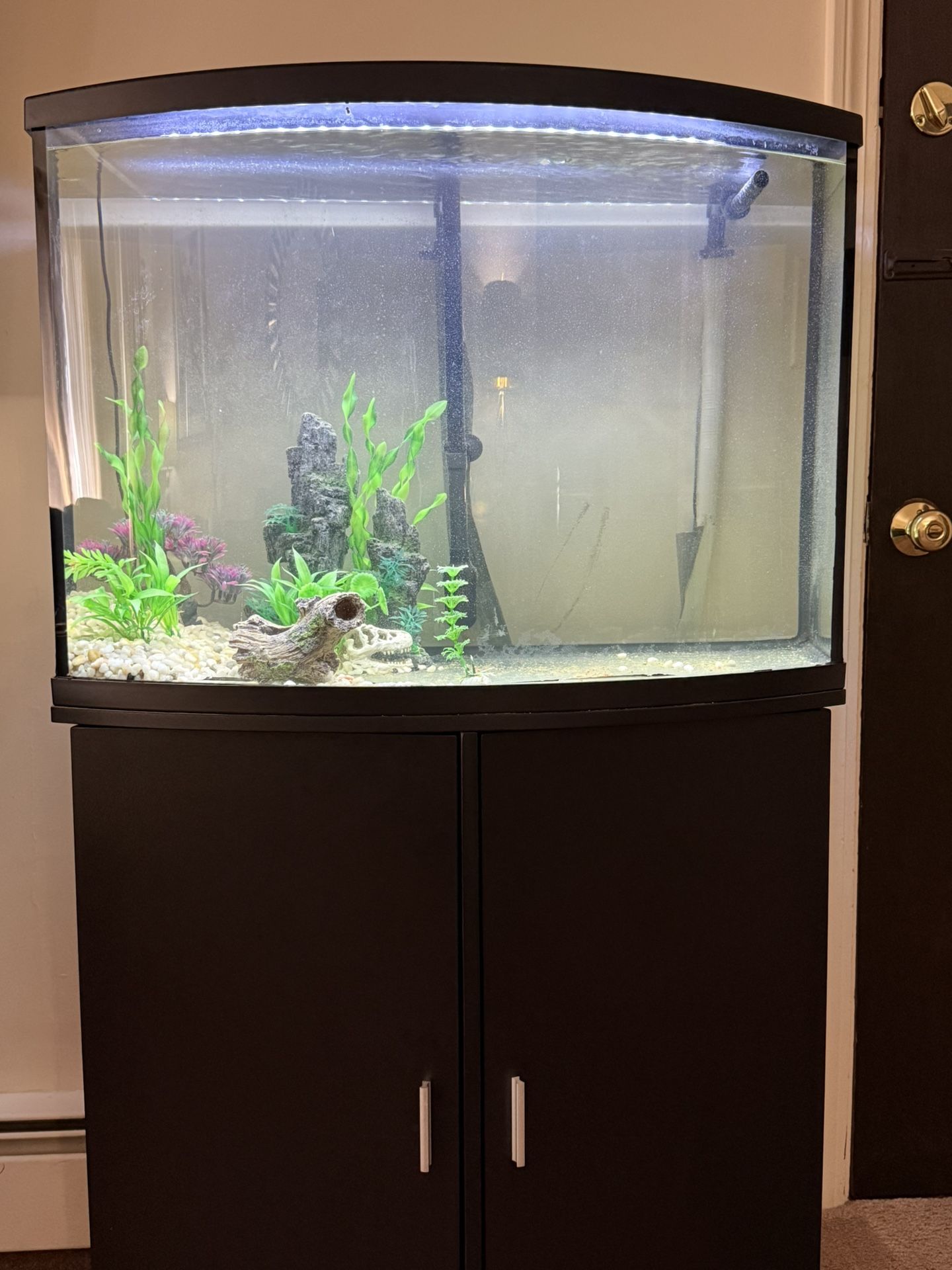 Fish Tank 40 Gallon 