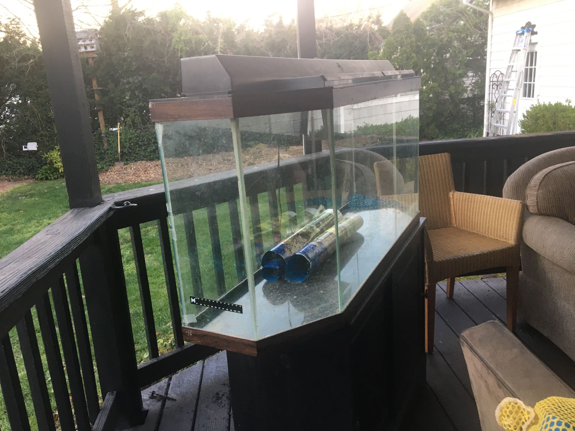 50 Gallon Fish Tank