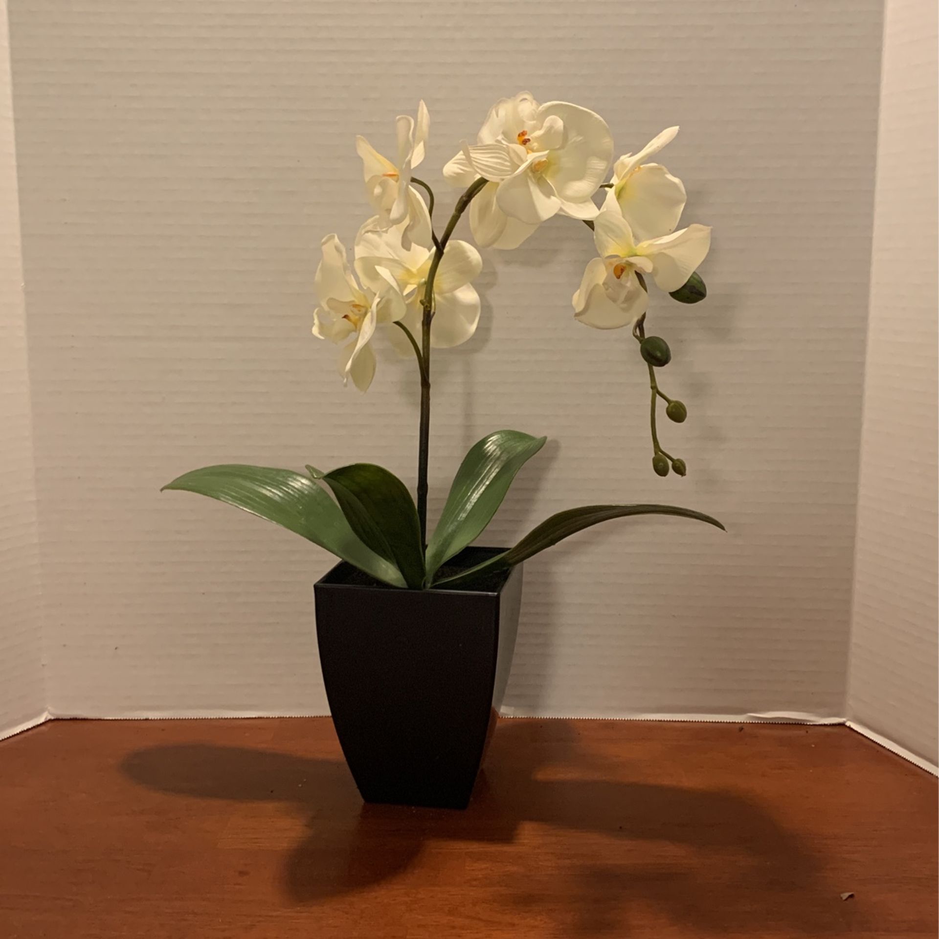 White Orchid Artificial Flower in Pot, Faux Phaleanopsis Orchid Bonsia 17 Inches Tall L20