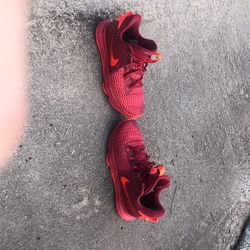 Lebrons 35$