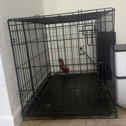 Doggy Crate - Medium Dog 
