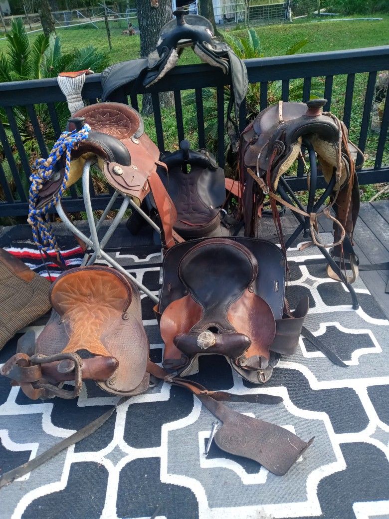 Saddles And Tack PLEASE READ DESCRIPTION