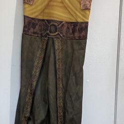 Raya Costume 4-6x FREE