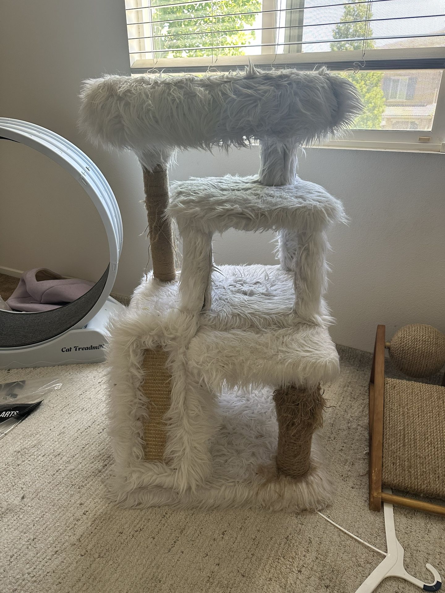 Cat House