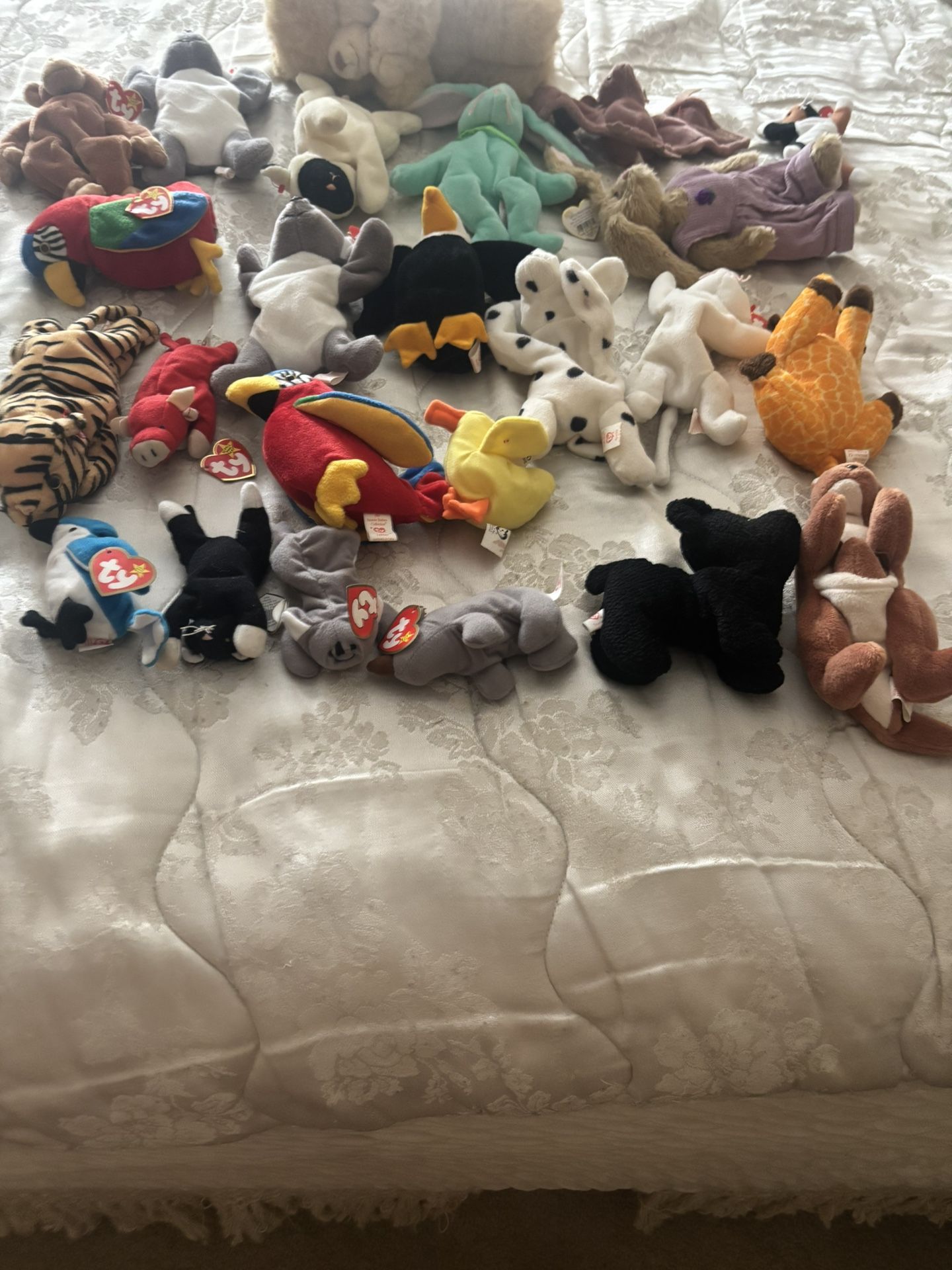 24 Beanie Babies