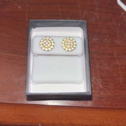 Sterling Silver/CZ Diamond Earrings Studs