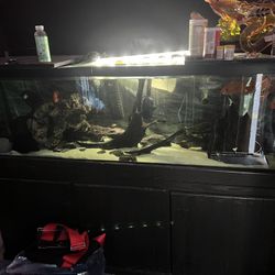 180 Gallon Fish Tank With Two Filters 