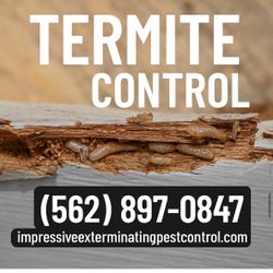 TERMITE INSPECTION WOOD 