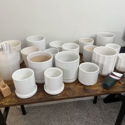 Assorted White Flower Plant Pots