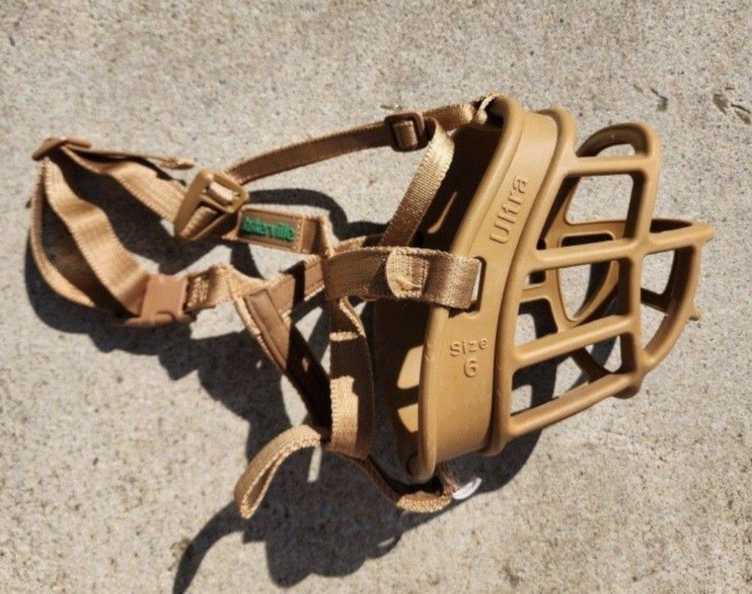 Muzzle, Size 6, See 2nd Pic