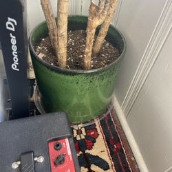 Green Plant Pot