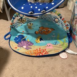 Baby Play Gym