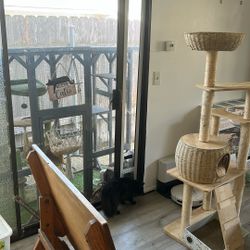 Cat Door