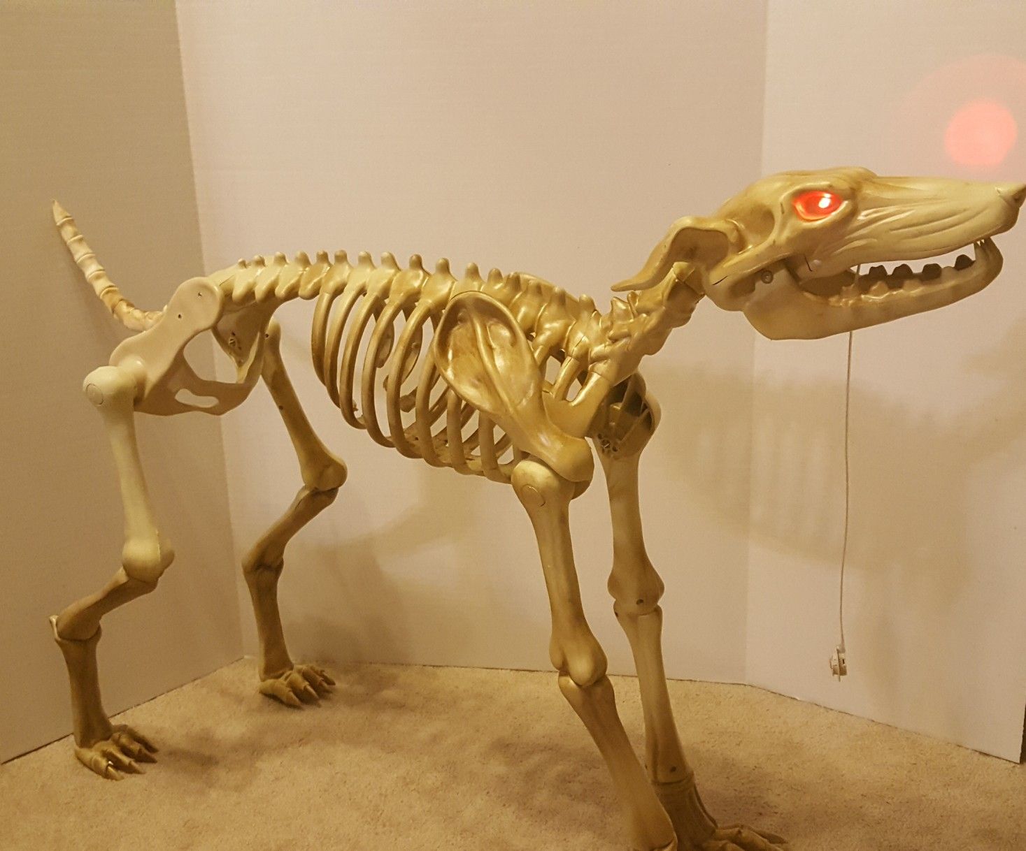 Halloween skeleton greyhound