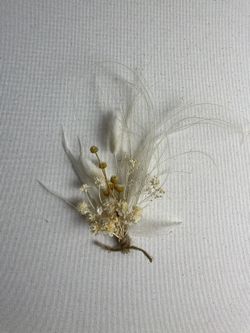 Groom Boutonnière - Rustic Boutonnière- Preserved Boutonnière -