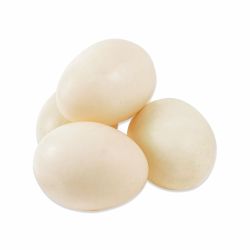Fresh duck eggs