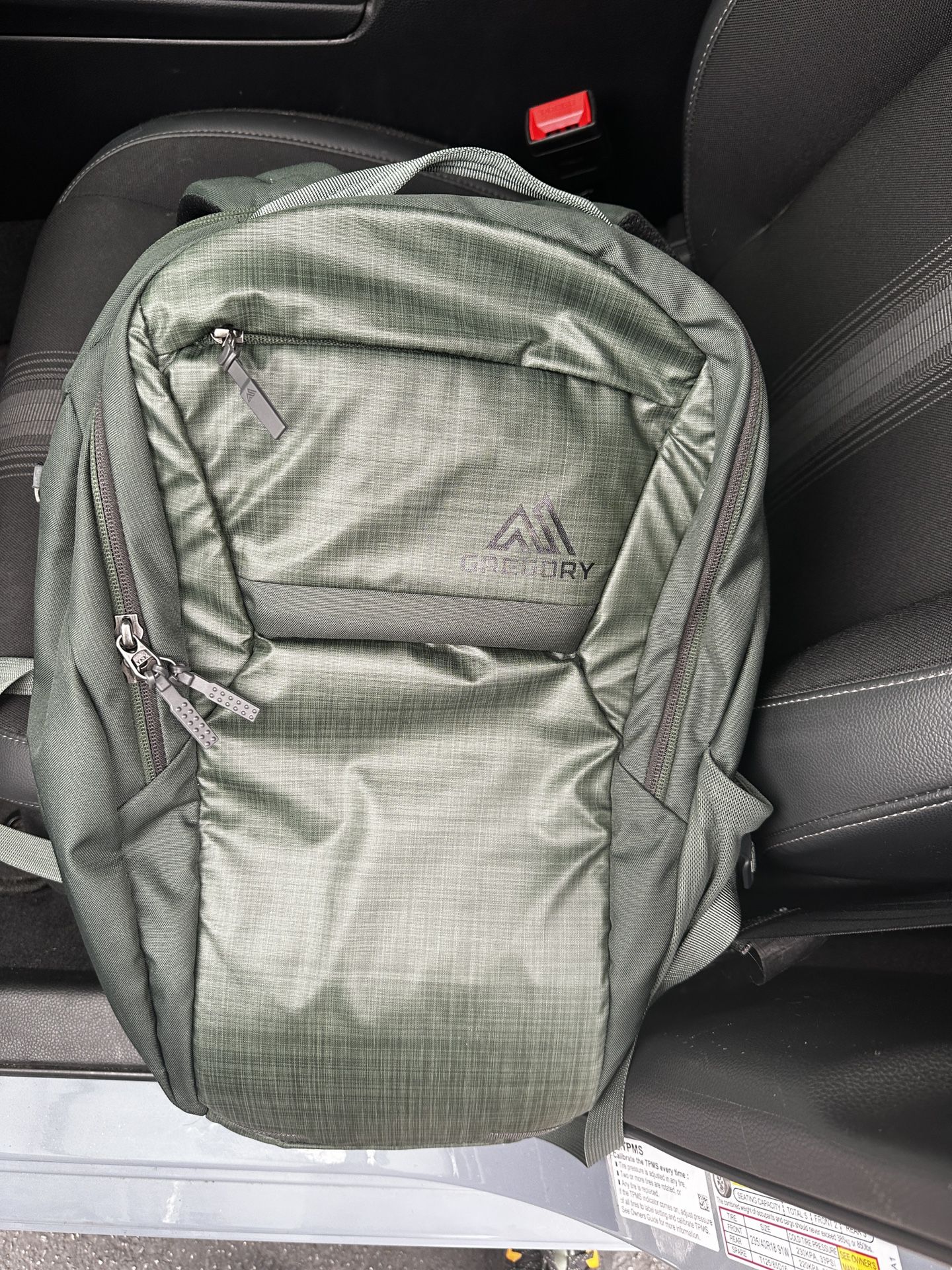 Gregory Resin 25L Backpack 