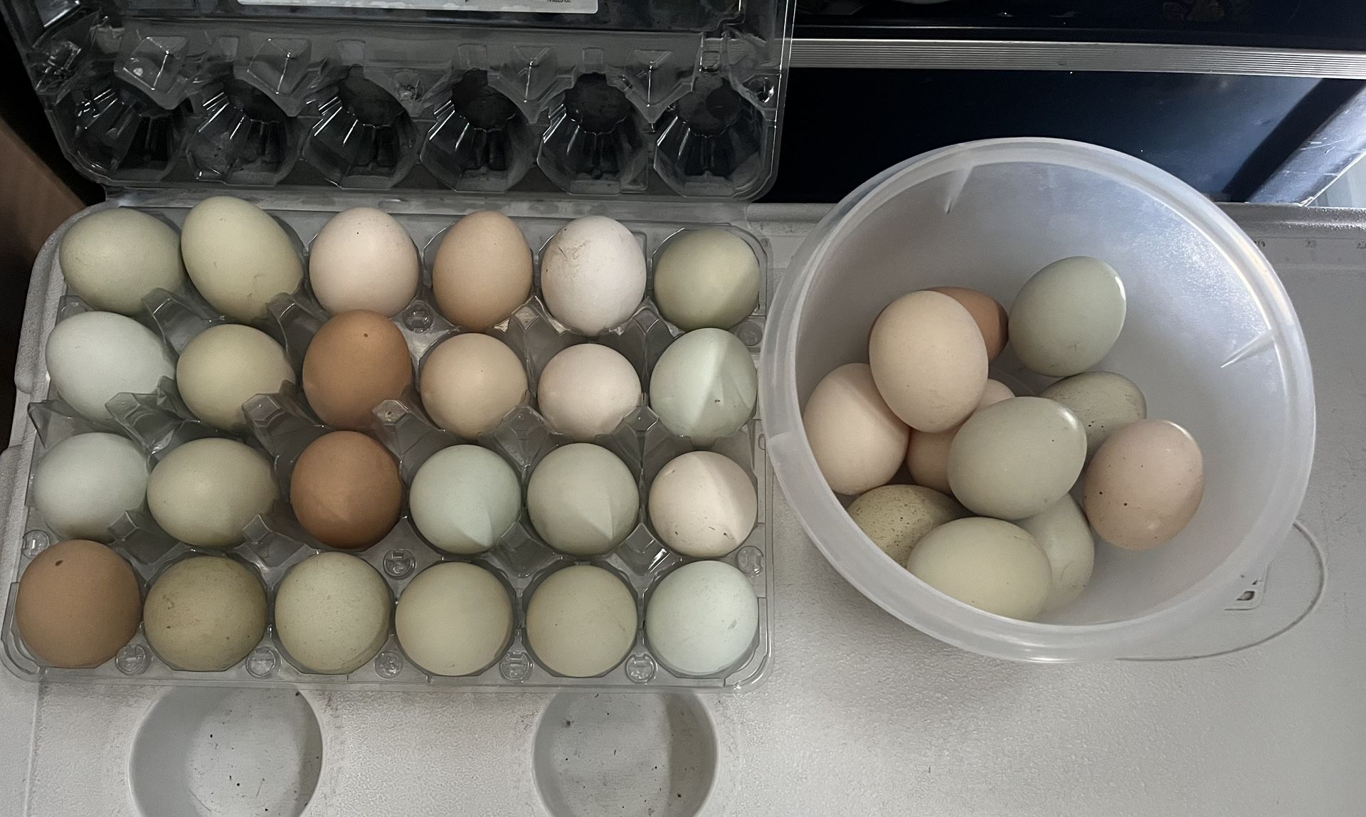 Fresh Eggs