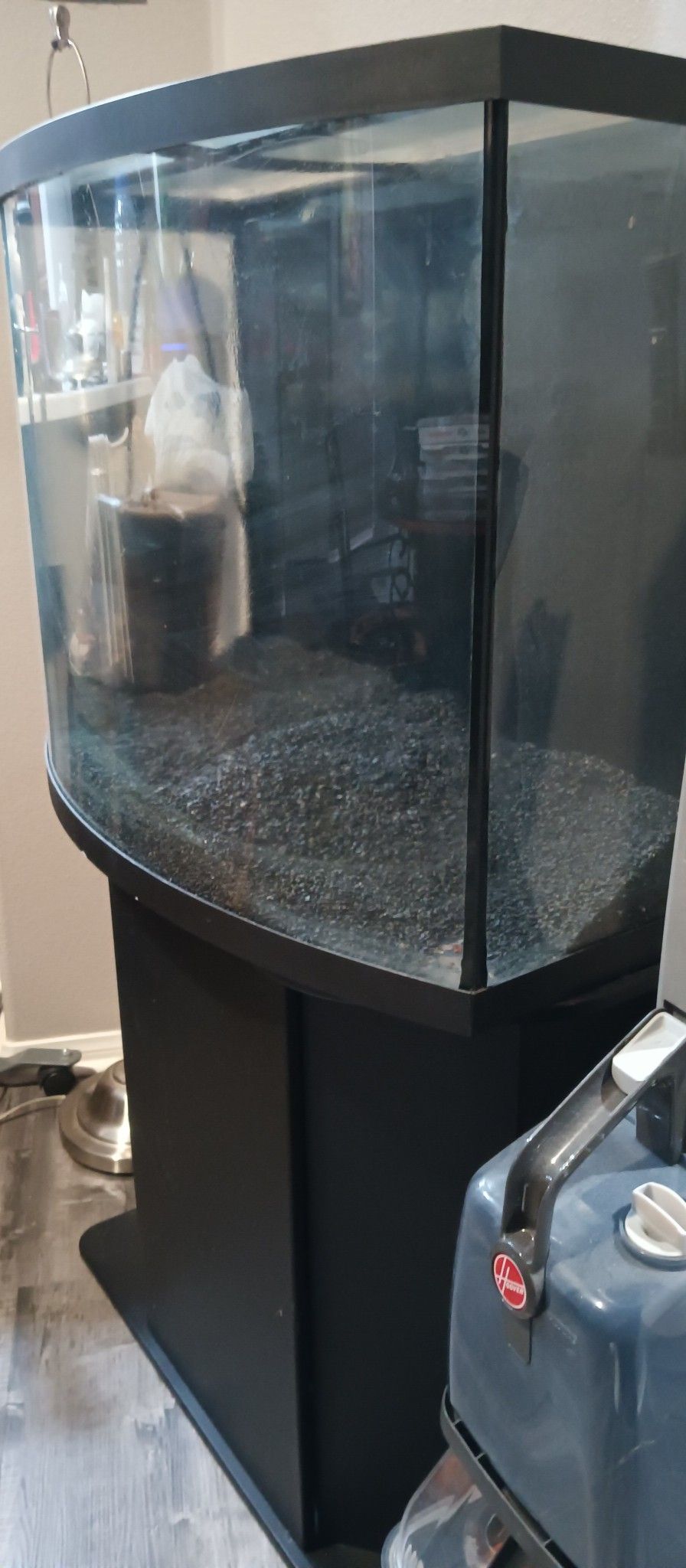 Complete 40g Bowfront 