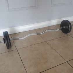 Barbell With Weights • Standard Size 1" • 40lbs Weight Plates  