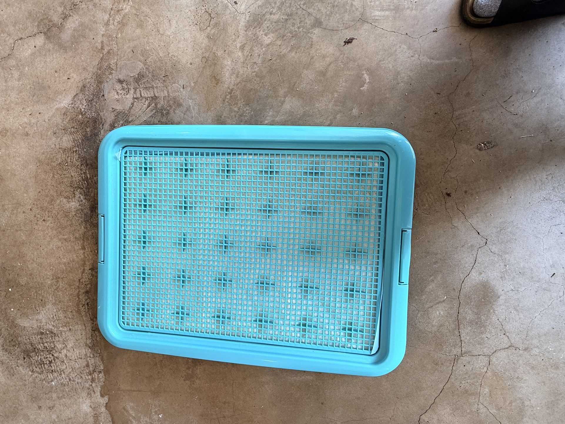 Doggy Potty Training Pad