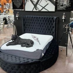 🖤BRAND NEW ✌️Sansom Black Queen Bed/Other Color Available 