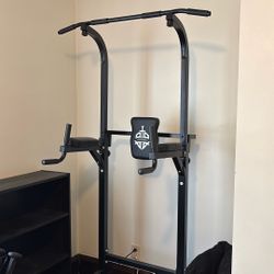 Pull Up Dip Station