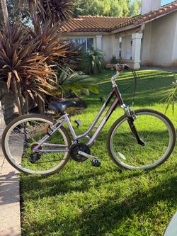 Adult Schwinn Bicycle