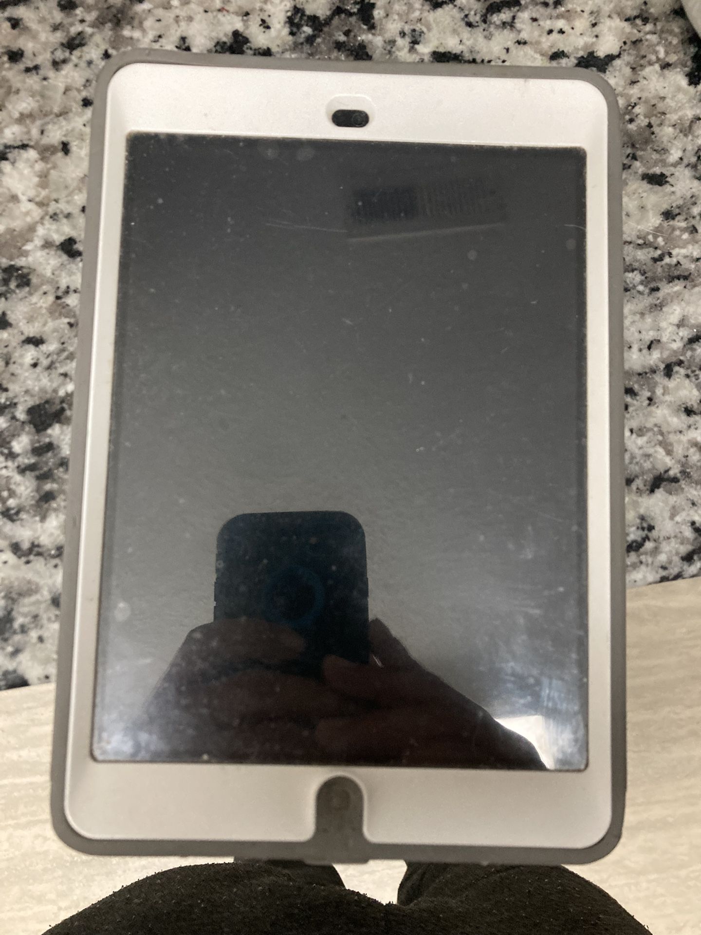 iPad Mini 
