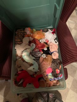 Beanie babies