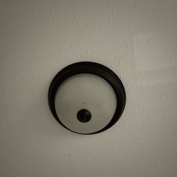Light Fixture