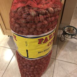 Fresh Georgia Pecans ( New Crop) $3.00 lb