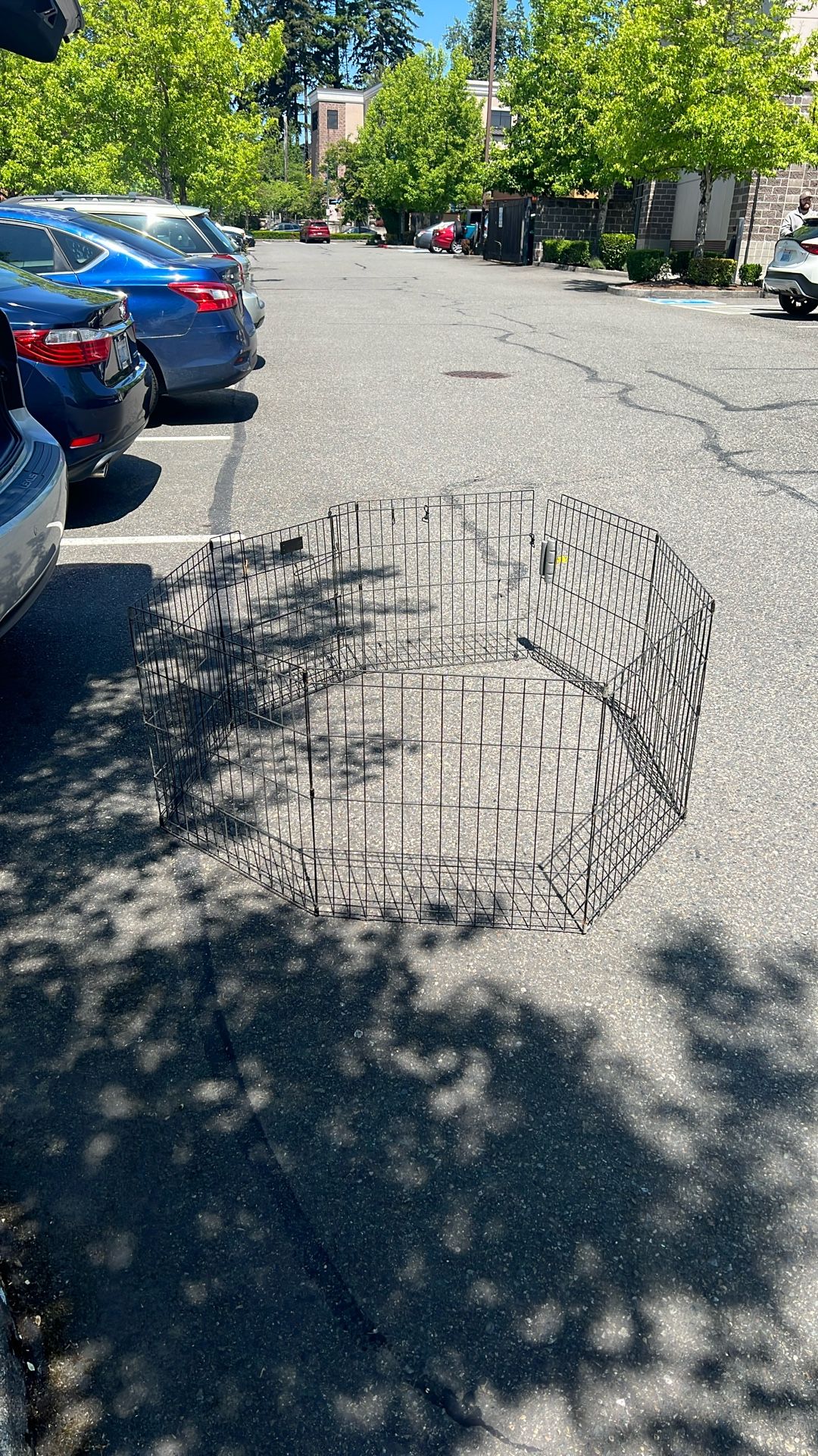 Dog Fence