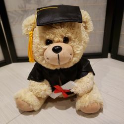 Graduation Teddy Bear 10" Tall