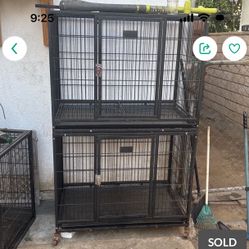 Jail For Dogs