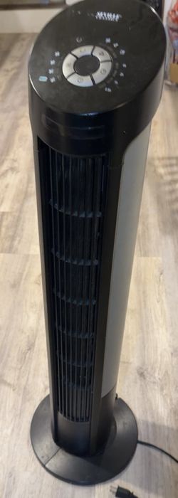 Fan